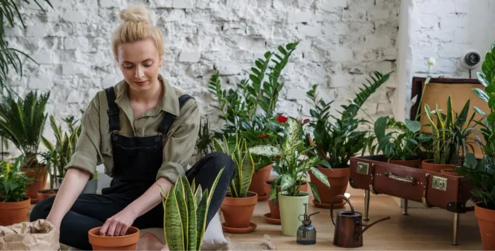 gardening